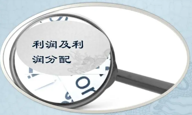 公司法中對利潤分配的財(cái)務(wù)規(guī)則-海南法律咨詢-錢生錢財(cái)務(wù)咨詢
